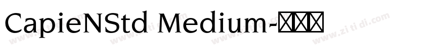 CapieNStd Medium字体转换 CapieNStd Medium字体转换